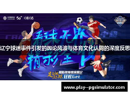辽宁球迷事件引发的舆论风波与体育文化认同的深度反思