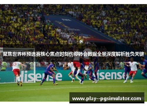聚焦世界杯预选赛核心焦点时刻伤停转会数据全景深度解析胜负关键