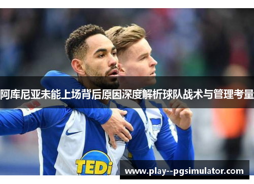 阿库尼亚未能上场背后原因深度解析球队战术与管理考量