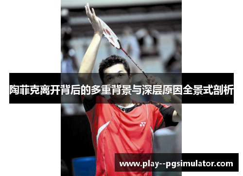 陶菲克离开背后的多重背景与深层原因全景式剖析